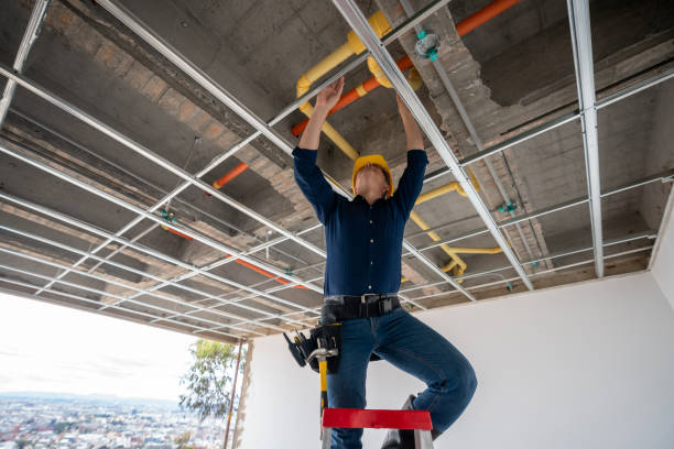 Best Affordable Plumbing Services  in Kirkland, IL